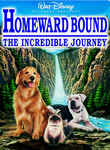 Homeward Bound: The Incredible Journey