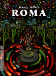 Fellini's Roma poster