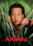 The Animal