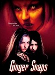 Ginger Snaps