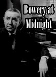 Bowery at Midnight