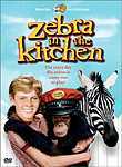 Zebra in the Kitchen