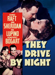 They Drive by Night