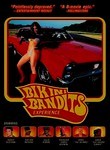 Bikini Bandits Experience