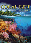 Coral Reef Adventure