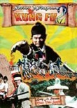 Secret Weapons of Kung Fu 2
