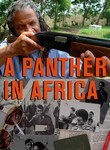 A Panther in Africa: POV