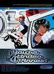 You're Under Arrest: Season 1 (13-Disc Series)
