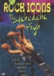 Rock Icons: Psychedelic High