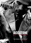 Accatone poster