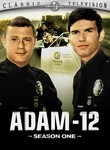Adam-12: Season 1 (4-Disc Series)
