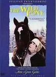 The Wild Pony