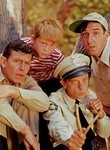 The Andy Griffith Show: The Final Season (5-Disc Series)