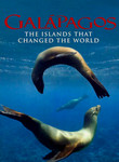 Galapagos in 3D poster