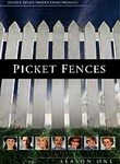 Picket Fences: Season 1 (6-Disc Series)