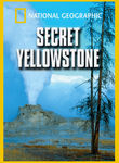 Secret Yellowstone