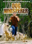 Dog Whisperer with Cesar Millan: Season 3 (6-Disc Series)