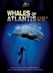 Whales of Atlantis: In Search of Moby Dick