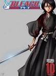 Bleach: Vol. 10: The Entry