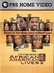 African American Lives 2