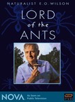 Naturalist E.O. Wilson: Lord of the Ants