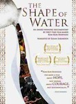 The Shape of Water 