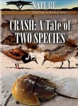 Nature: Crash: A Tale of Two Species