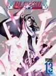 Bleach: Vol. 13: The Rescue