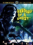 Seeding of a Ghost