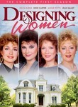 Designing Women: Season 1 (4-Disc Series)