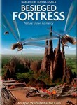 Besieged Fortress