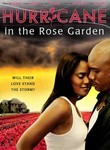 Hurricane in the Rose Garden