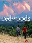 Redwoods