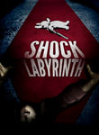 The Shock Labyrinth