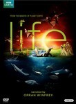 Life: Disc 4
