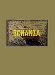 Bonanza: The Return