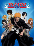 Bleach: Vol. 10: The Entry