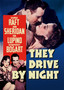 They Drive by Night