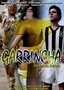 Garrincha, Estrella Solitaria