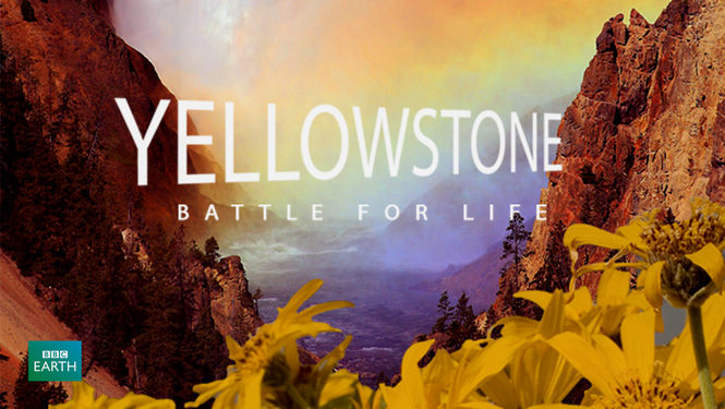 wild yellowstone netflix